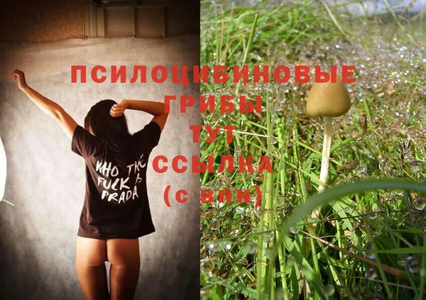 кокс Арсеньев