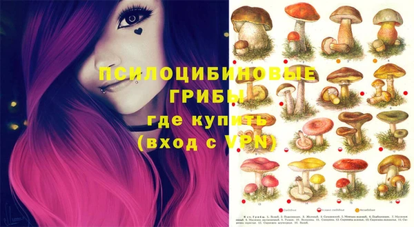 apvp Балабаново