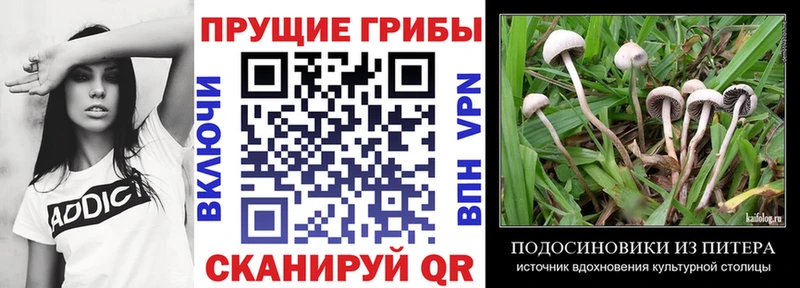 darknet как зайти  Учалы  Псилоцибиновые грибы прущие грибы  OMG как зайти 